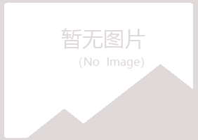 阿城夏日能源有限公司